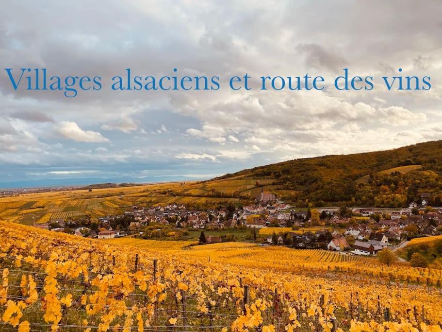 New L'Industr'Ill Au Coeur De L'Alsace Lägenhet Sélestat Exteriör bild
