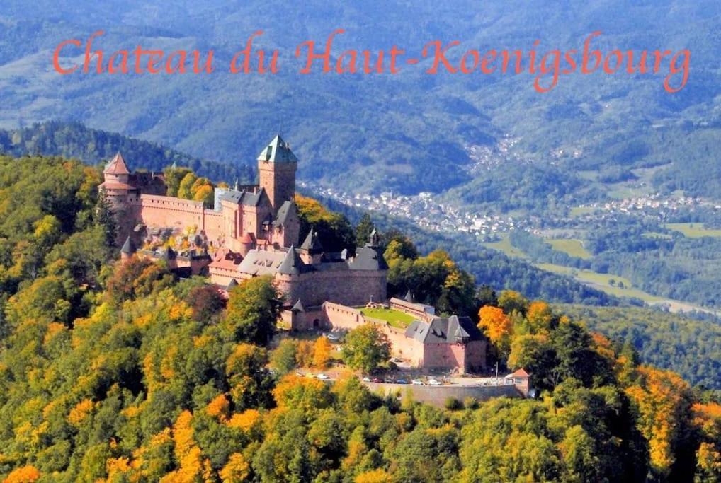 New L'Industr'Ill Au Coeur De L'Alsace Lägenhet Sélestat Exteriör bild